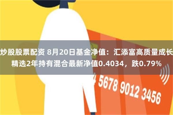 炒股股票配资 8月20日基金净值:汇添富高质量成长精选2年持有混合最新净值0.4034,跌0.79%