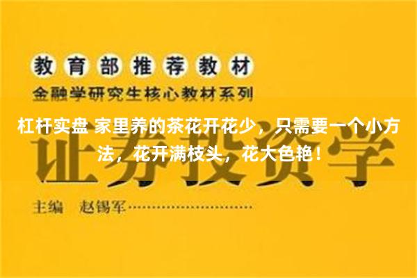 杠杆实盘 家里养的茶花开花少，只需要一个小方法，花开满枝头，花大色艳！