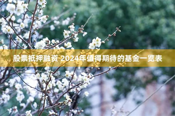 股票抵押融资 2024年值得期待的基金一览表