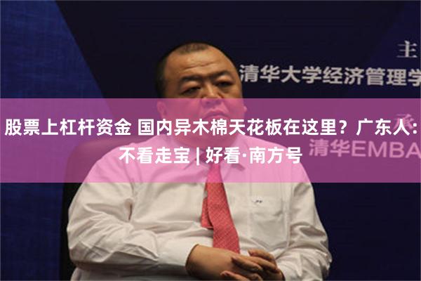 股票上杠杆资金 国内异木棉天花板在这里？广东人：不看走宝 | 好看·南方号