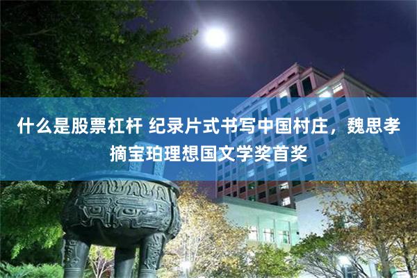 什么是股票杠杆 纪录片式书写中国村庄，魏思孝摘宝珀理想国文学奖首奖