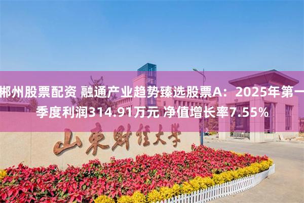 郴州股票配资 融通产业趋势臻选股票A：2025年第一季度利润314.91万元 净值增长率7.55%
