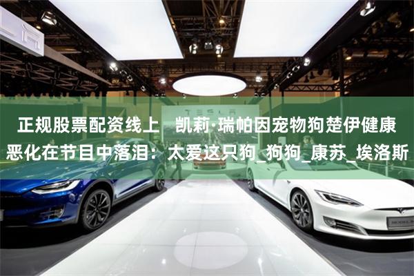 正规股票配资线上   凯莉·瑞帕因宠物狗楚伊健康恶化在节目中落泪：太爱这只狗_狗狗_康苏_埃洛斯