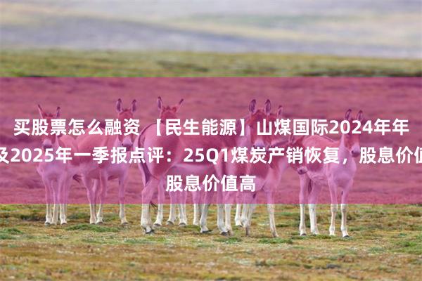 买股票怎么融资 【民生能源】山煤国际2024年年报及2025年一季报点评：25Q1煤炭产销恢复，股息价值高