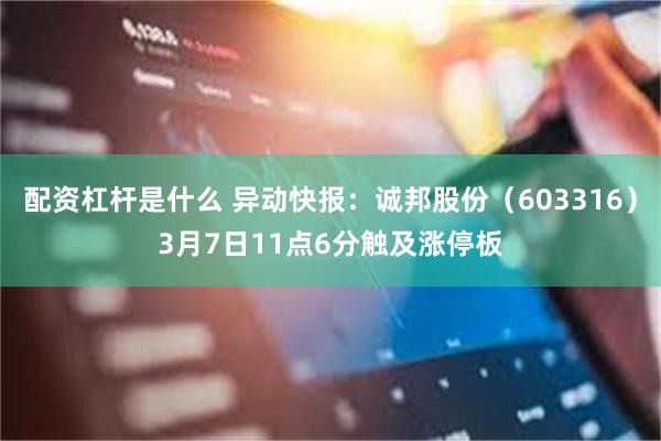 配资杠杆是什么 异动快报：诚邦股份（603316）3月7日11点6分触及涨停板