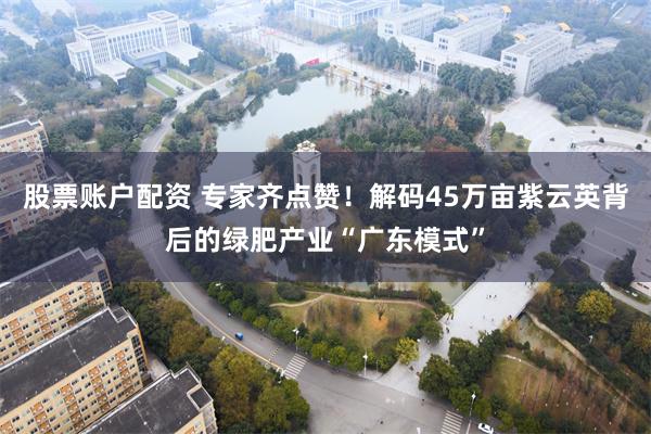 股票账户配资 专家齐点赞！解码45万亩紫云英背后的绿肥产业“广东模式”