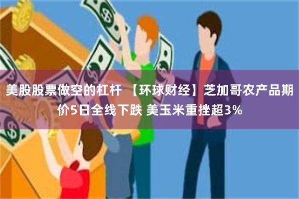 美股股票做空的杠杆 【环球财经】芝加哥农产品期价5日全线下跌 美玉米重挫超3%