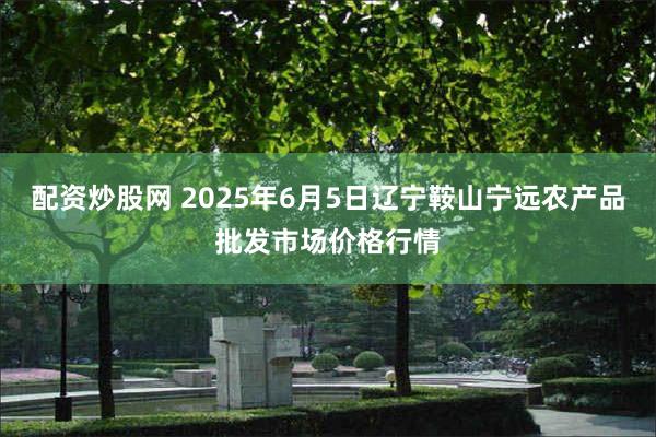 配资炒股网 2025年6月5日辽宁鞍山宁远农产品批发市场价格行情