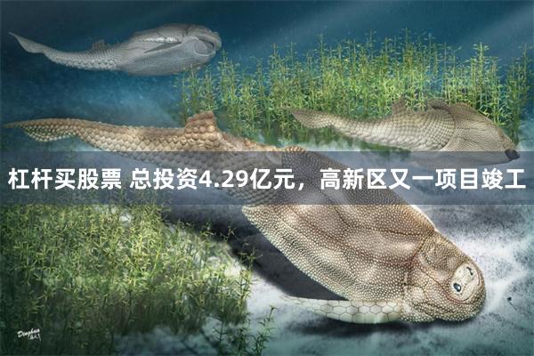杠杆买股票 总投资4.29亿元，高新区又一项目竣工