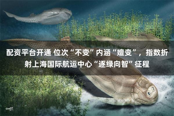 配资平台开通 位次“不变”内涵“嬗变”，指数折射上海国际航运中心“逐绿向智”征程