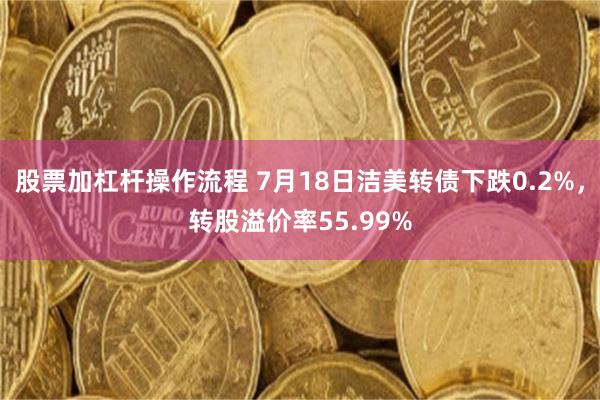 股票加杠杆操作流程 7月18日洁美转债下跌0.2%，转股溢价率55.99%