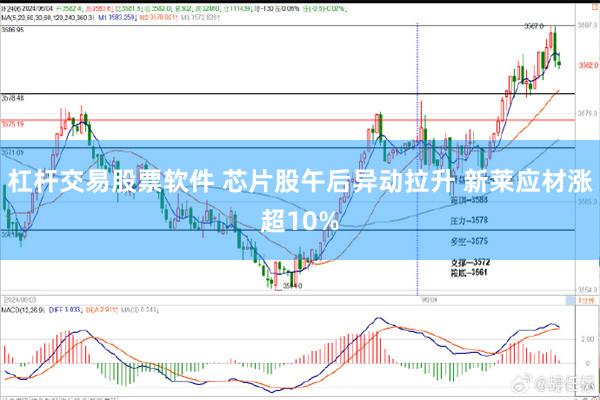 杠杆交易股票软件 芯片股午后异动拉升 新莱应材涨超10%