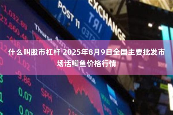 什么叫股市杠杆 2025年8月9日全国主要批发市场活鲫鱼价格行情