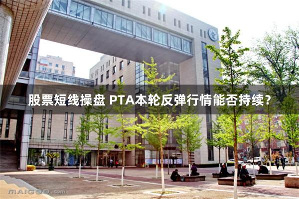 股票短线操盘 PTA本轮反弹行情能否持续？