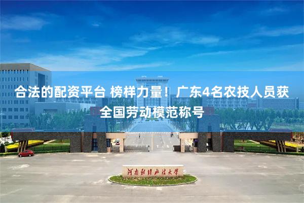 合法的配资平台 榜样力量！广东4名农技人员获全国劳动模范称号